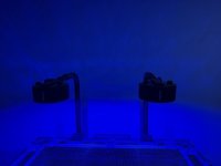 IMG_4617.jpeg