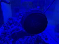 IMG_4618.jpeg