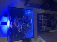 IMG_1917.jpeg
