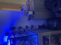 IMG_1919.jpeg