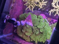 IMG_1084.jpeg