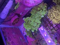 IMG_1087.jpeg
