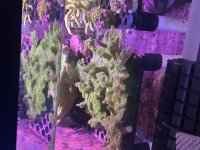 IMG_1083.jpeg