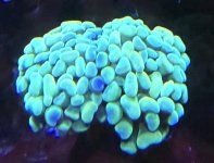 IMG_4464.jpeg