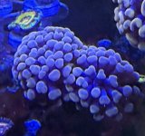 IMG_4461.jpeg
