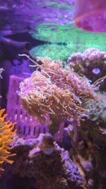4116cd34-fe60-44d6-a03c-7b6e1837ce81.jpeg