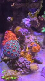 a7a3c058-e0cf-4ccb-a880-4464fab55ed3.jpeg