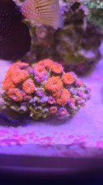bc3b0e1b-0134-4dce-8ea1-df74a1899377.jpeg