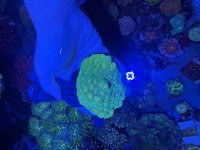 IMG_0227.jpeg