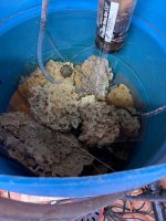 IMG_4125.jpeg