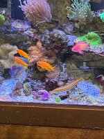 IMG_4137.jpeg
