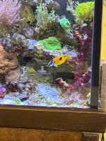 IMG_4135.jpeg