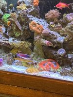 IMG_4136.jpeg