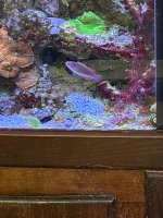IMG_4139.jpeg