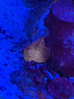 IMG_4123.jpeg