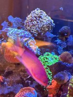 IMG_4122.jpeg