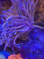 IMG_4117.jpeg