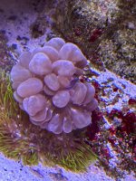 IMG_4112.jpeg