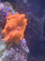 IMG_4110.jpeg