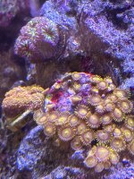 IMG_4111.jpeg