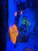 IMG_4145.jpeg