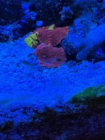 IMG_3985.jpeg