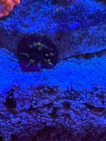 IMG_3984.jpeg