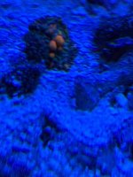 IMG_3983.jpeg