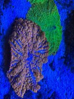 IMG_3980.jpeg