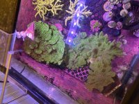 IMG_1082.jpeg