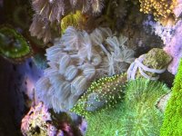 IMG_0351.jpeg