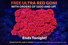 file_0000000074a871f896f3f97b3119d77d.png
