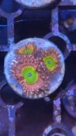 IMG_4245.jpeg