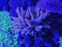 20260124_183442.jpg