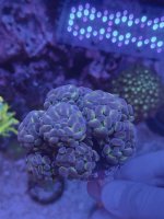 IMG_4337.jpg