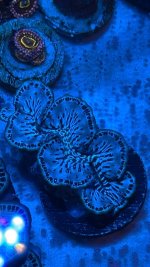 IMG_4250.jpeg