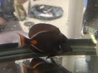 IMG_6958.jpeg