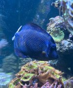 IMG_8974.jpeg