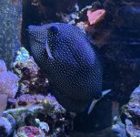IMG_8973.jpeg