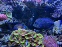 IMG_8971.jpeg