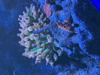 IMG_9285.jpeg
