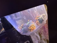IMG_5751.jpeg