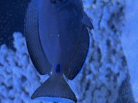 IMG_9317.jpeg