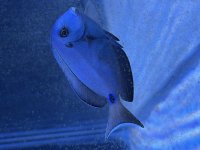 IMG_9318.jpeg