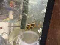 IMG_7002.jpeg