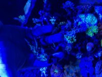 IMG_3171.jpeg