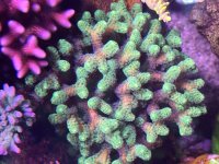 IMG_3660.jpeg