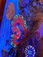 IMG_4114.jpeg