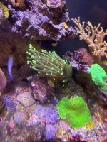 IMG_4105.jpeg