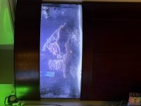 IMG_1422.jpeg